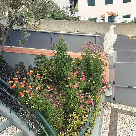 Valhalla Private Heated Swimming-pool * Funchal (Madeira)