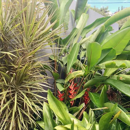 Valhalla Private Heated Swimming-pool