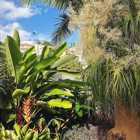 Valhalla Private Heated Swimming-pool Funchal (Madeira)