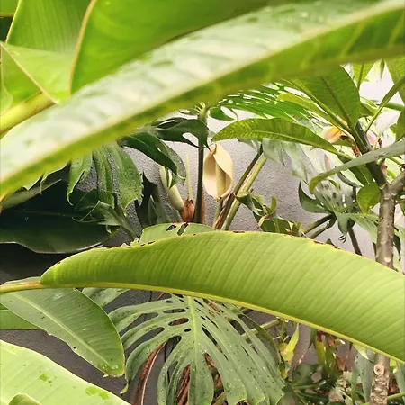 Valhalla Private Heated Swimming-pool