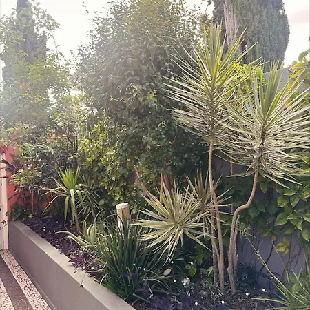 Valhalla Private Heated Swimming-pool Villa Funchal (Madeira)