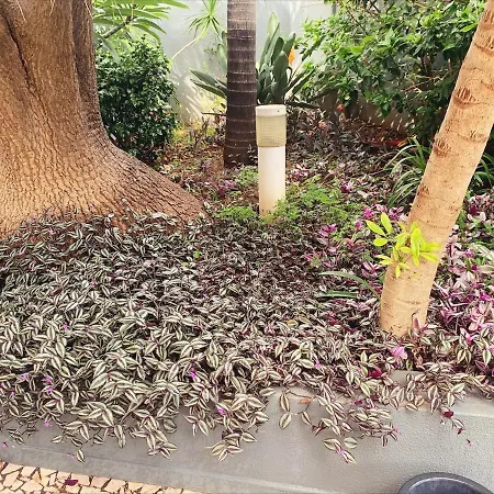 Valhalla Private Heated Swimming-pool Фуншал