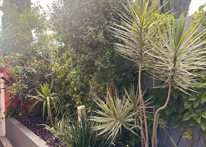 Valhalla Private Heated Swimming-pool Villa Funchal