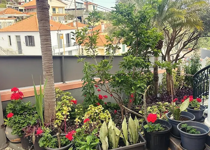 Villa Valhalla Private Heated Swimming-pool